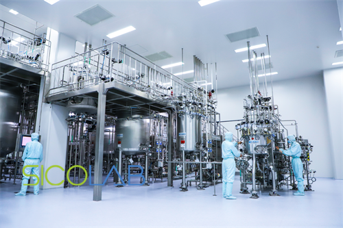 生物藥品gmp生產(chǎn)潔凈廠房